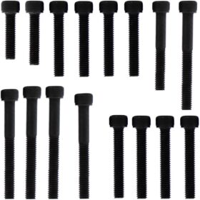 Kit parafusos aço liga tampa motor lateral esquerda+direita Biz100 2013 a 2015 / C100 Nova Honda