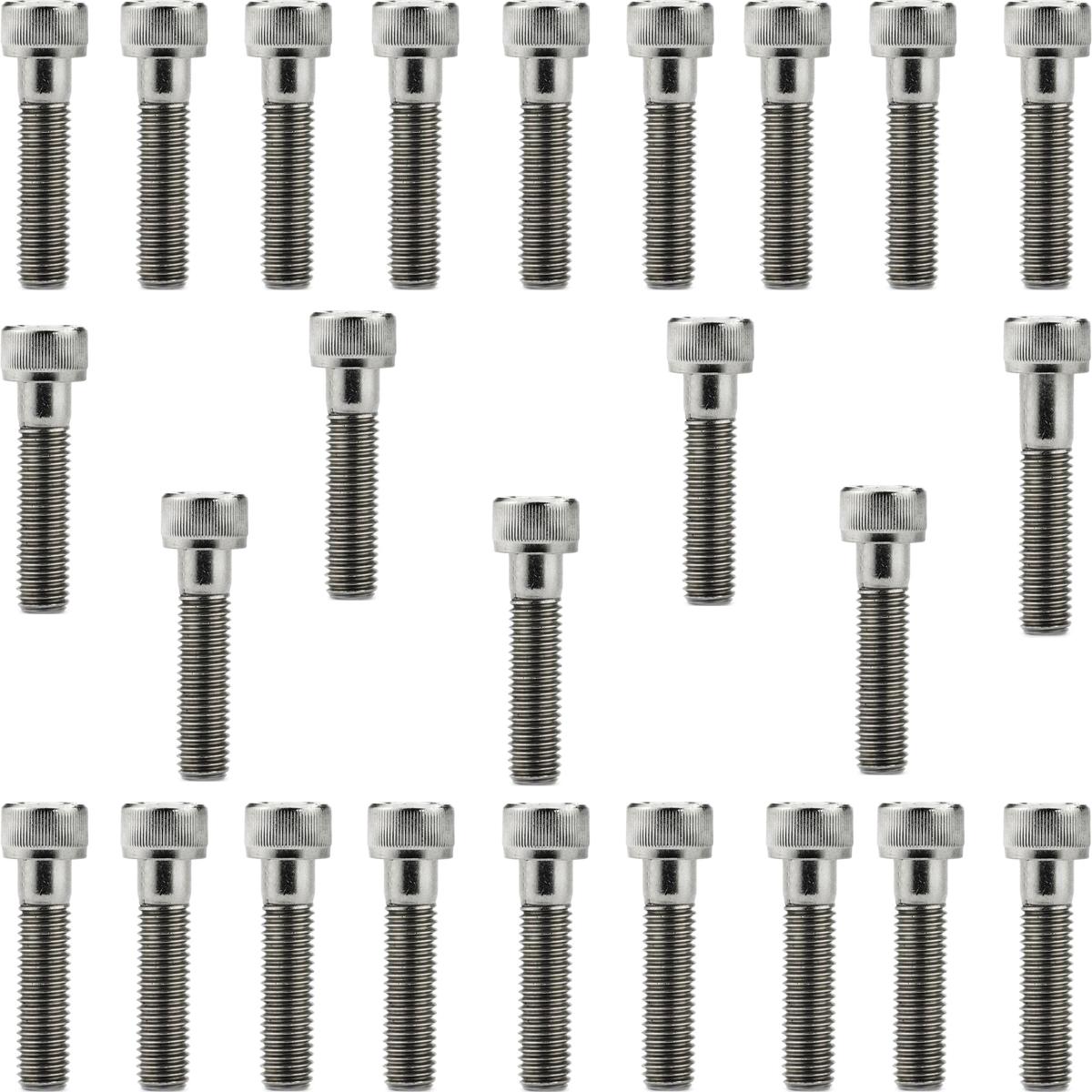Kit parafusos inox tampa motor lateral esquerda+direita VT600C Shadow 1998 a 2005 VT600 Shadow600 Honda