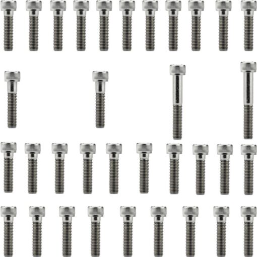 Kit parafusos inox tampa motor lateral esquerda+direita CBR1100XX Super Blackbird 1997 a 2004 CBR1100 Honda