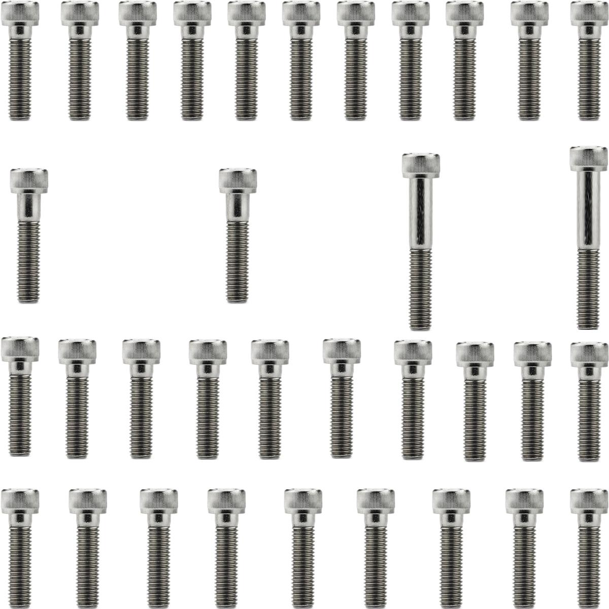 Kit parafusos inox tampa motor lateral esquerda+direita CBR1100XX Super Blackbird 1997 a 2004 CBR1100 Honda