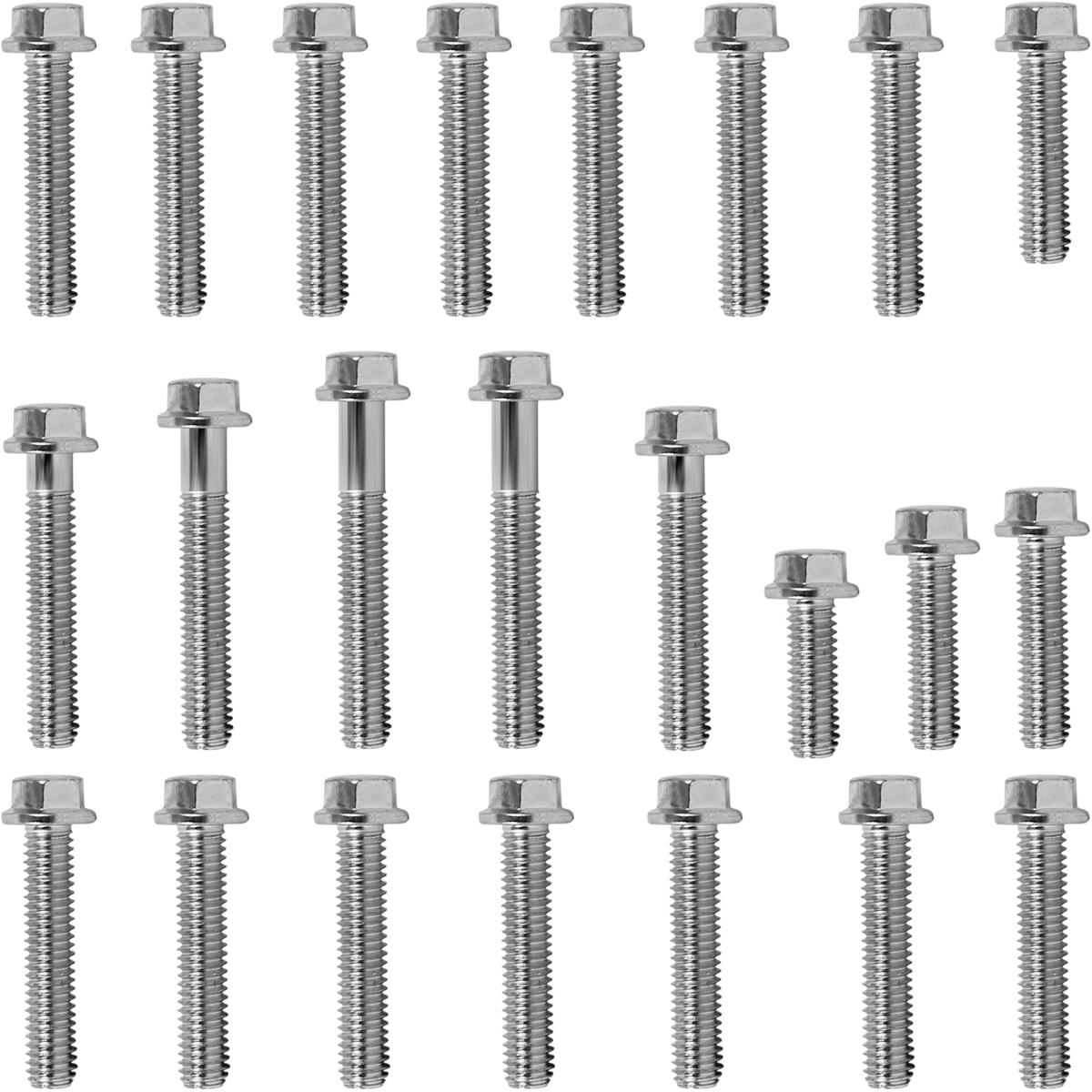 Kit parafusos zincados tampa motor lateral esquerda+direita CBX200 Strada 1993 a 2003 XR200R 1994 a 2003 NX200 1993 a 20