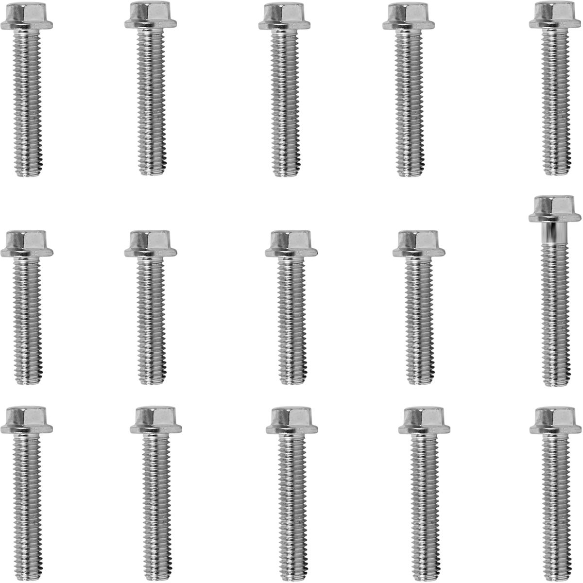 Kit parafusos zincados tampa motor lateral esquerda+direita CG125 1989 a 1999 Today125 1989 a 1994 CG125 Titan 1995 a 19